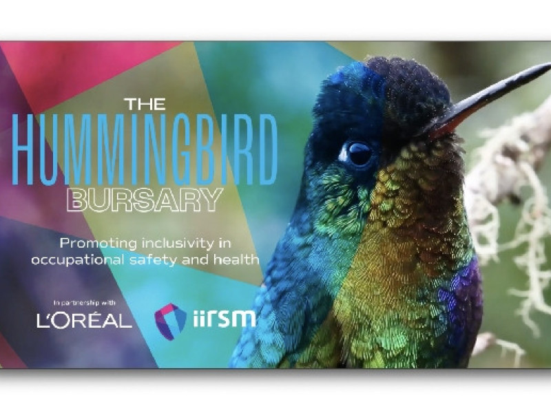 Congratulations to our new Hummingbirds!